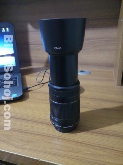 Canon 55-250mm lens ( Fully fress)